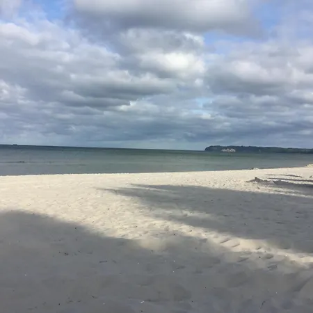 Daire Seeschwalbe Mit Meerblick