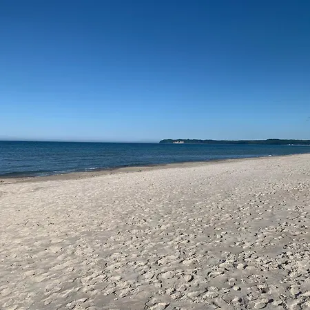 Seeschwalbe Mit Meerblick Apartment