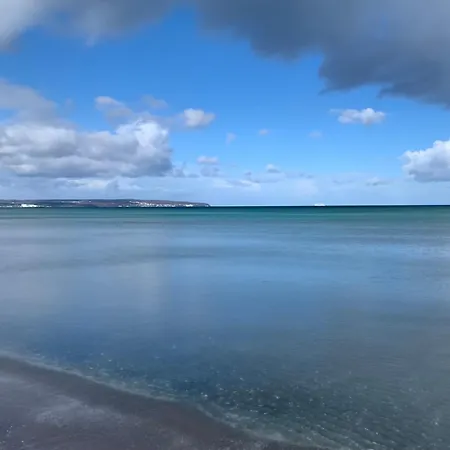 Daire Seeschwalbe Mit Meerblick *